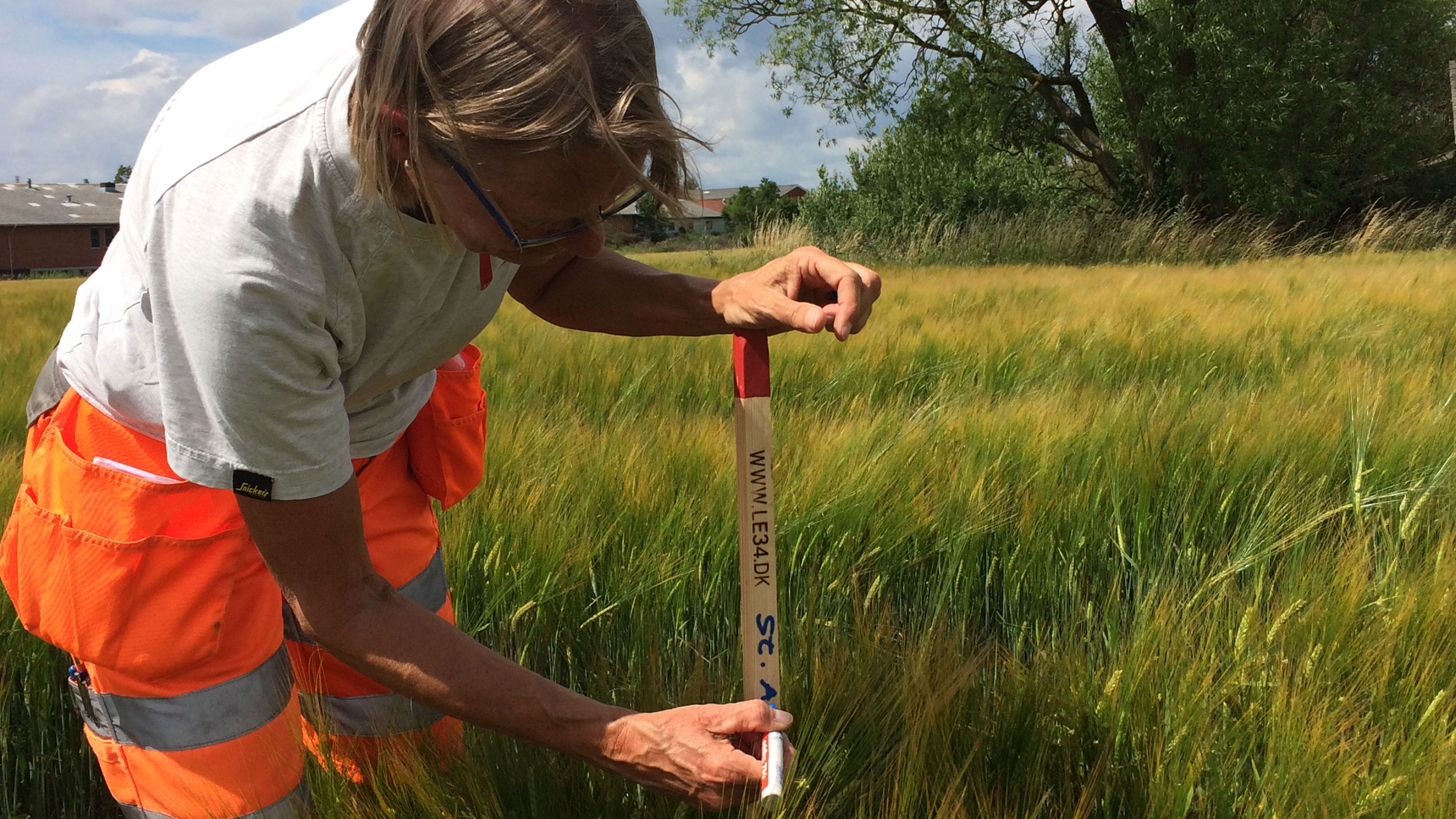 Landinspektør opmåling udstykning