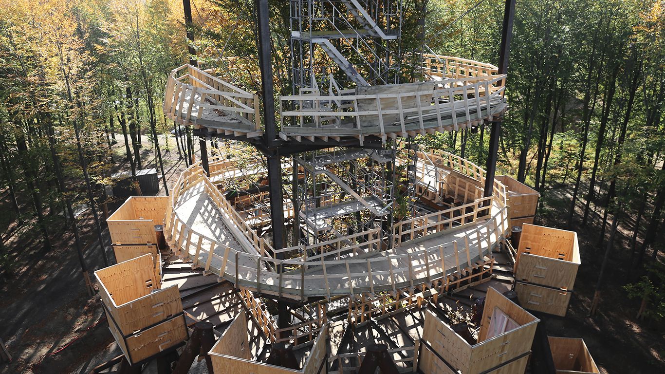 LE34 is part of the team behind the contruction of the Forest Tower