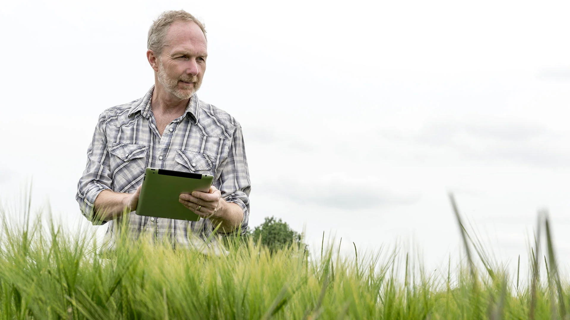 LE34 landinspektør Klitgaard Agro landbrugets kortservice