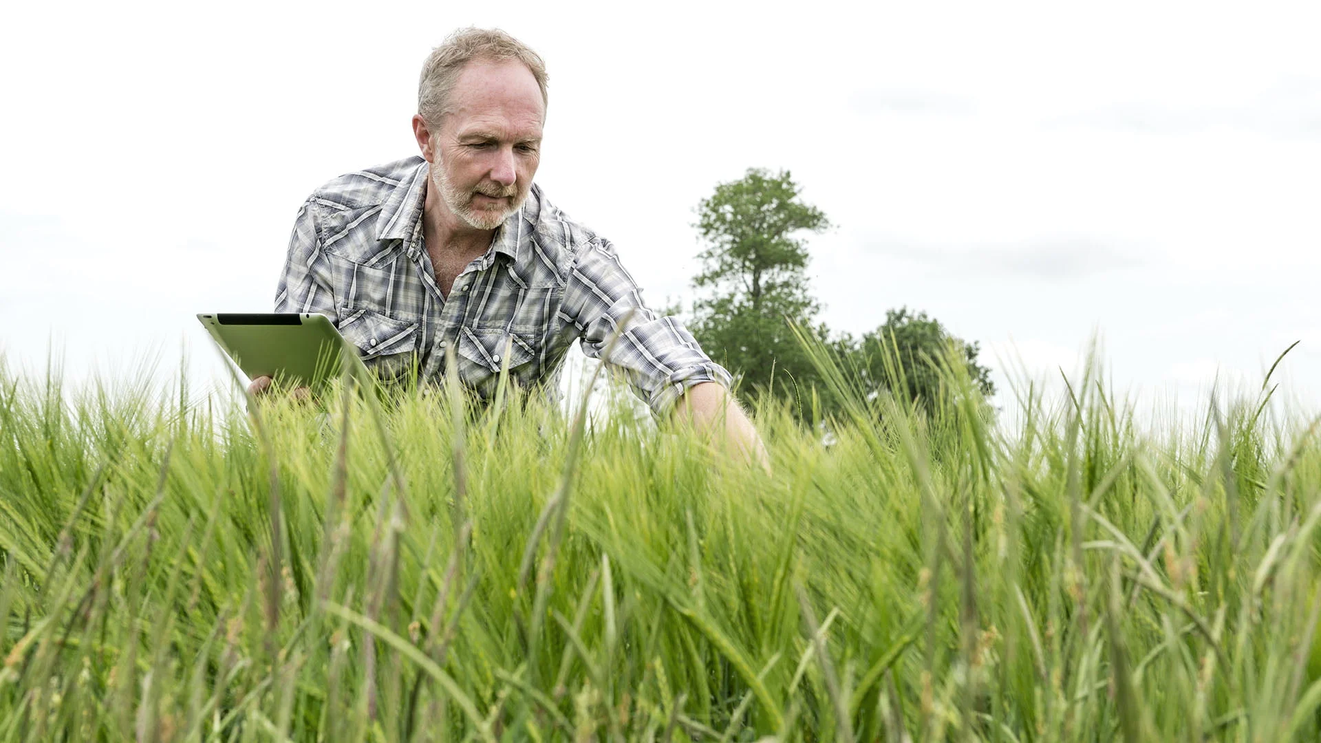 LE34 landinspektør Klitgaard Agro